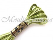 Мулине ДМС меланж 94